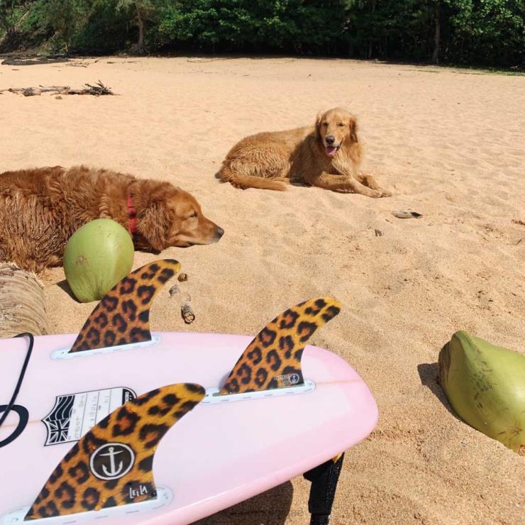 Hommes Volcom guépard leila hurst guépard petit (onglet simple) ZJ48F733