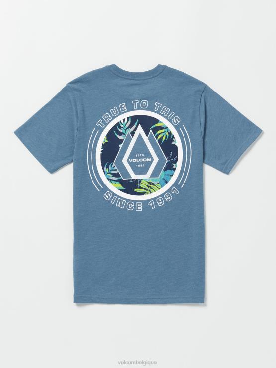garçons Volcom bruyère crête indigo t-shirt à manches courtes linkfill ZJ48F1151